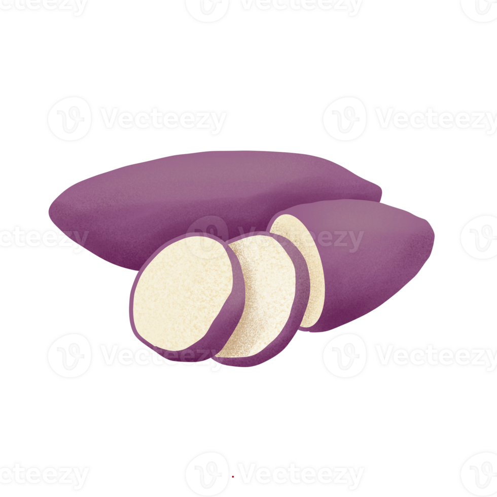 sweet potato illustration on png transparant