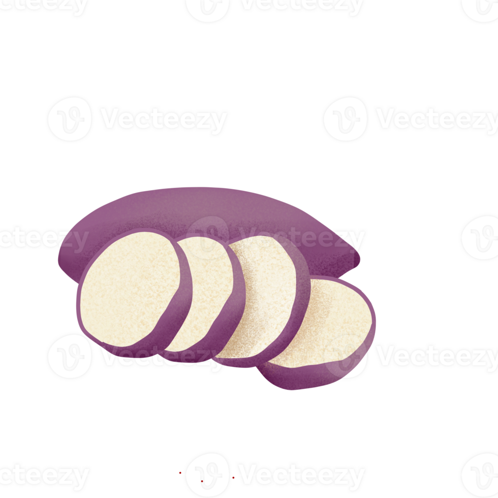 sweet potato illustration on png transparant