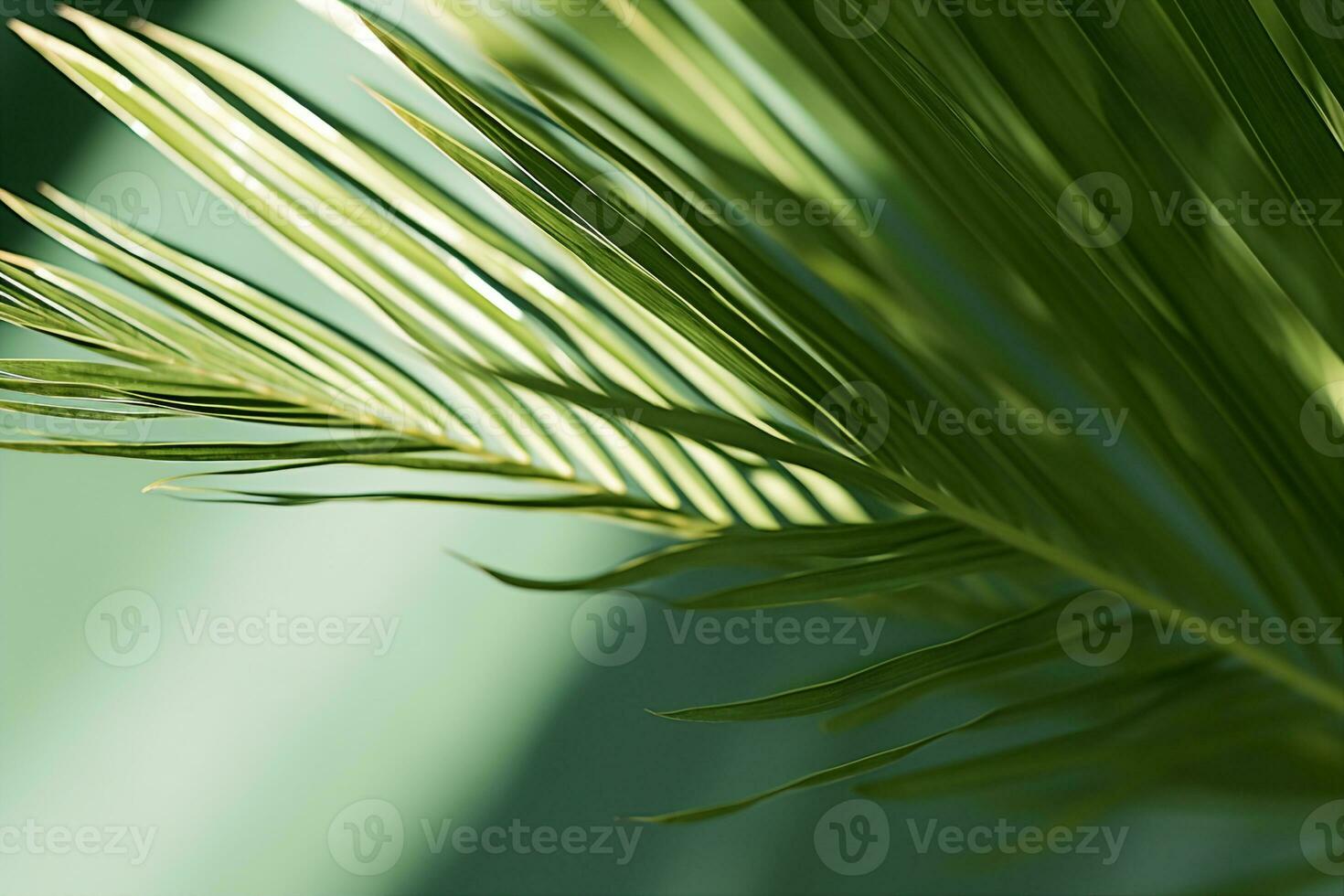 AI generated Stylish background for presentation. Palm leaf on a green surface with shadow. generative ai. photo