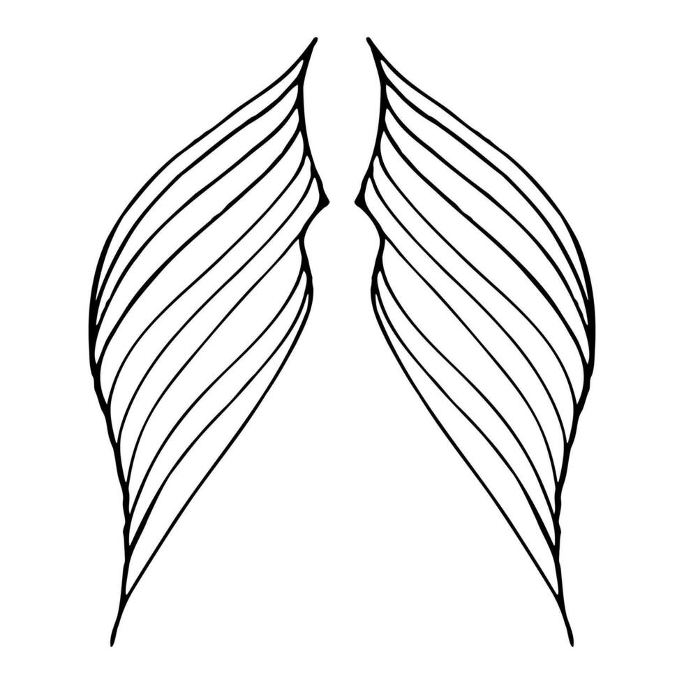 wings of abstract twisting shape in black silhouette vector