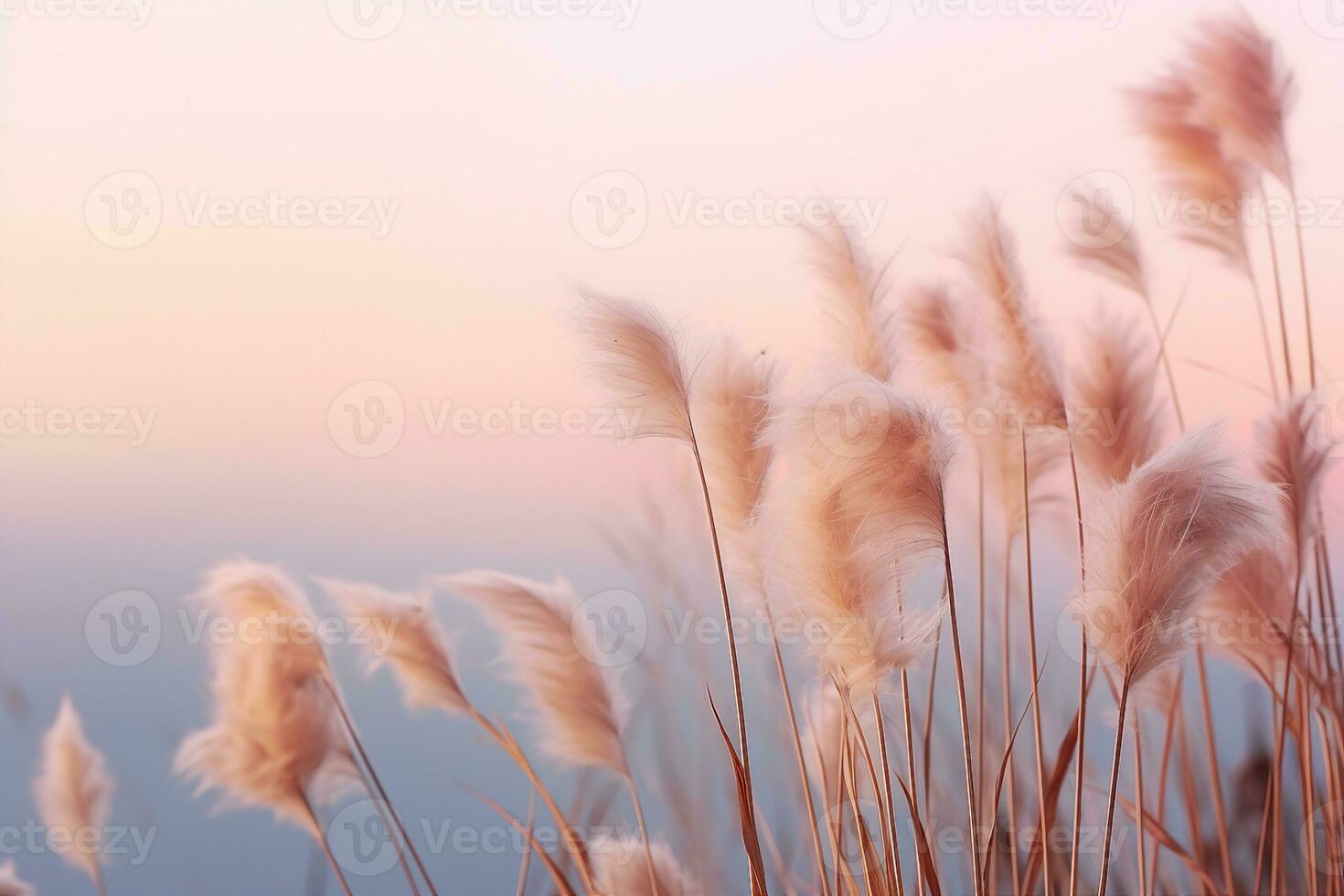 Soft gently wind grass flowers in aesthetic nature of early morning misty sky background. Quiet and calm image in minimal zen mood. Spring nature in pastel tone. generative ai. photo