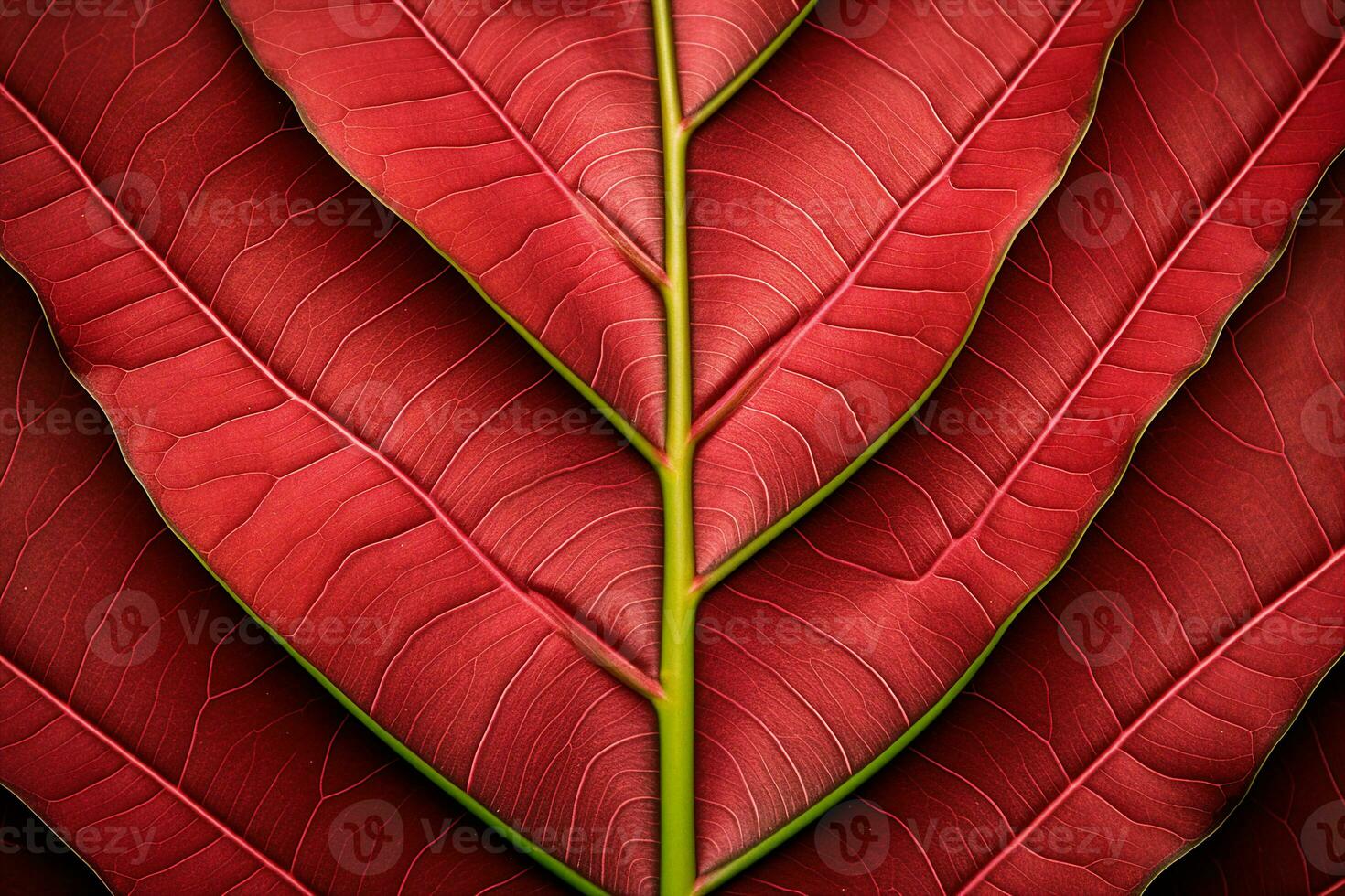 abstract red striped of foliage from nature, detail of leaf textured background. generative ai. photo