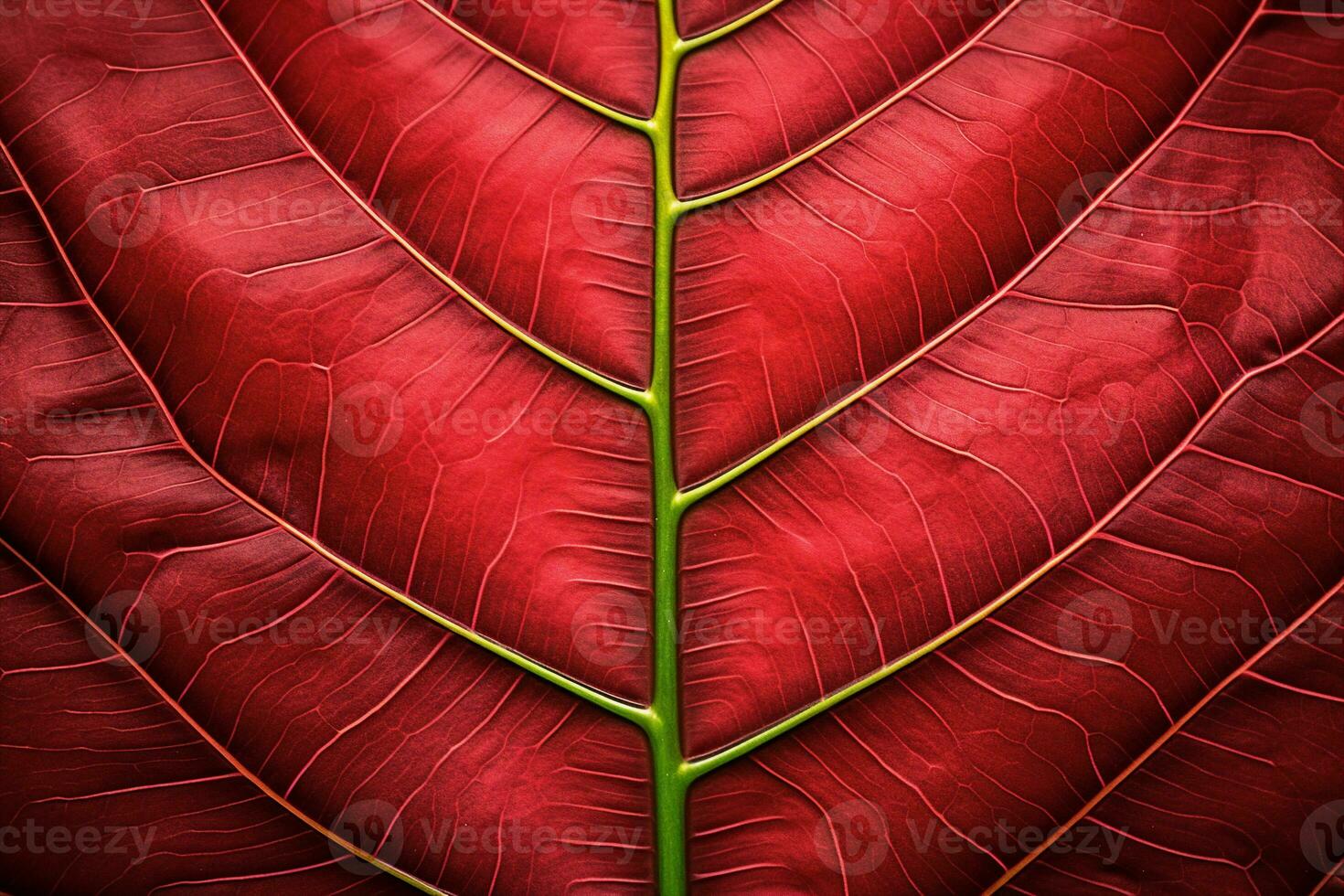 abstract red striped of foliage from nature, detail of leaf textured background. generative ai. photo