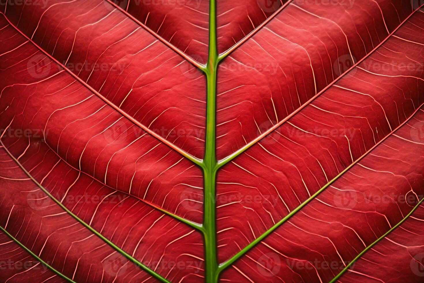 abstract red striped of foliage from nature, detail of leaf textured background. generative ai. photo