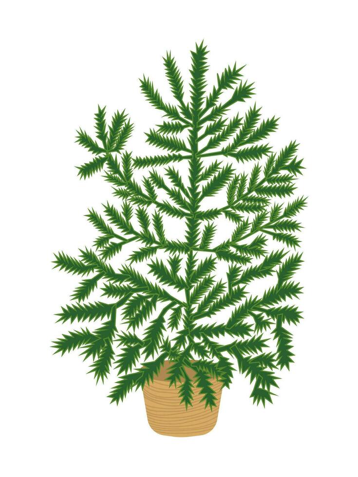 vector Navidad árbol plano ilustración. verde Navidad árbol en mimbre cesta.