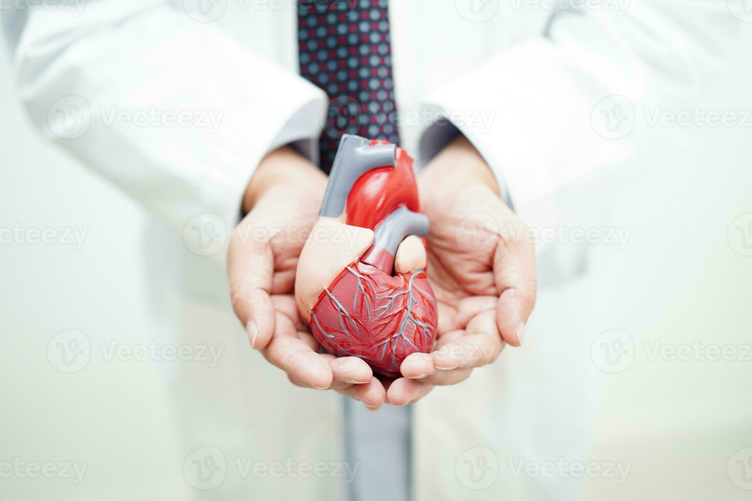 cardiovascular enfermedad CVD, médico con corazón humano modelo anatomía para tratamiento paciente en hospital. foto