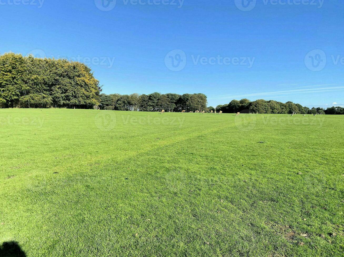 A view of the Cheshire Countryside near Knutsford on a sunny day in Autumn photo