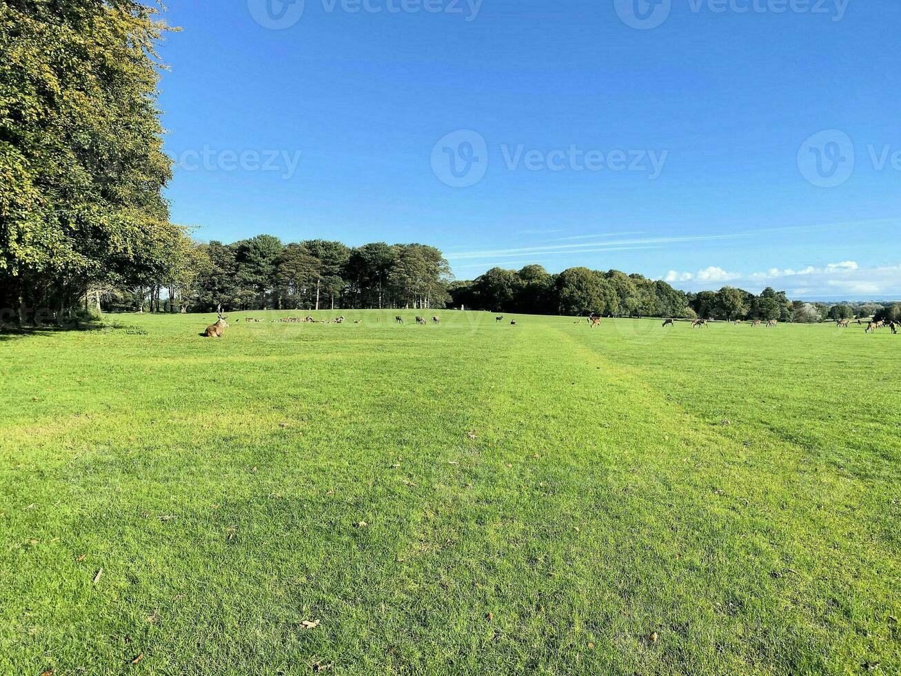 A view of the Cheshire Countryside near Knutsford on a sunny day in Autumn photo