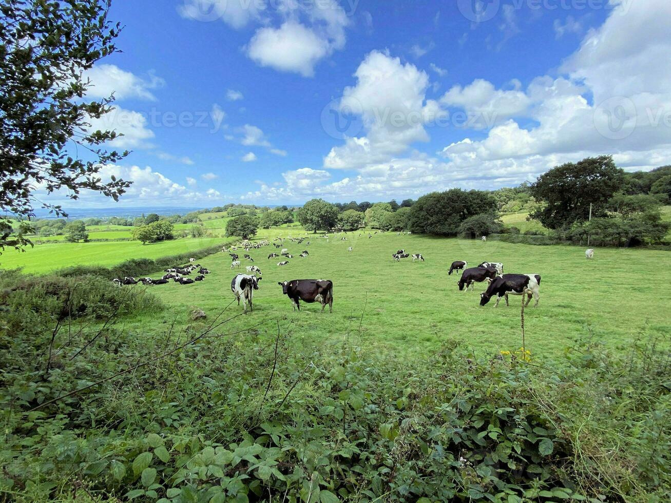 A view of the Cheshire Countryside at Peckforton Hills photo