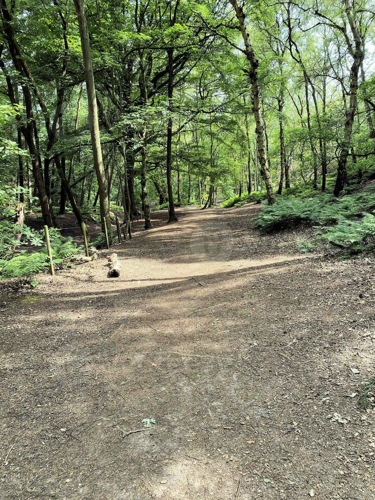 A view of the Cheshire Countryside at Peckforton Hills photo