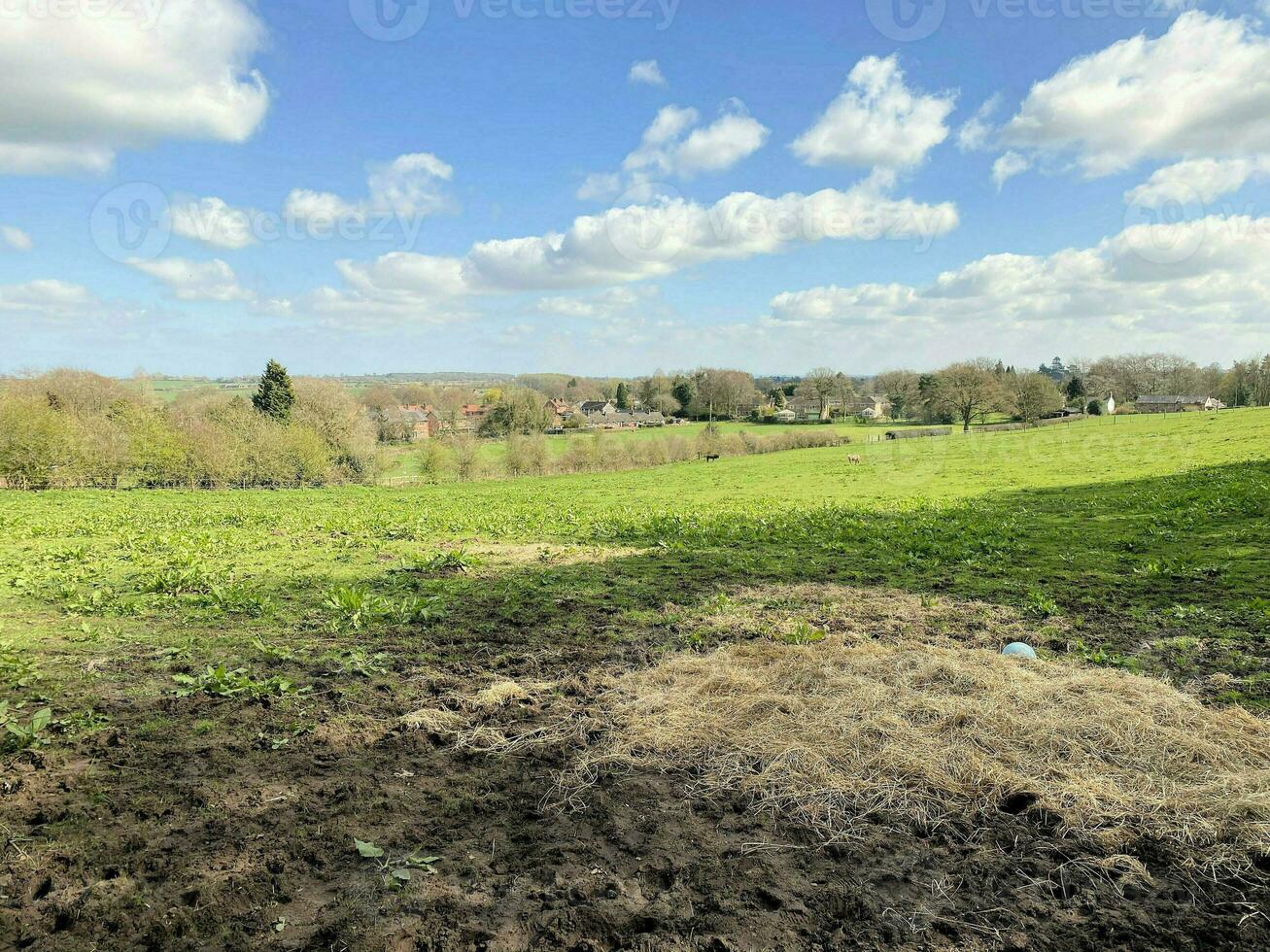 A view of the Cheshire Countryside at Peckforton Hills photo