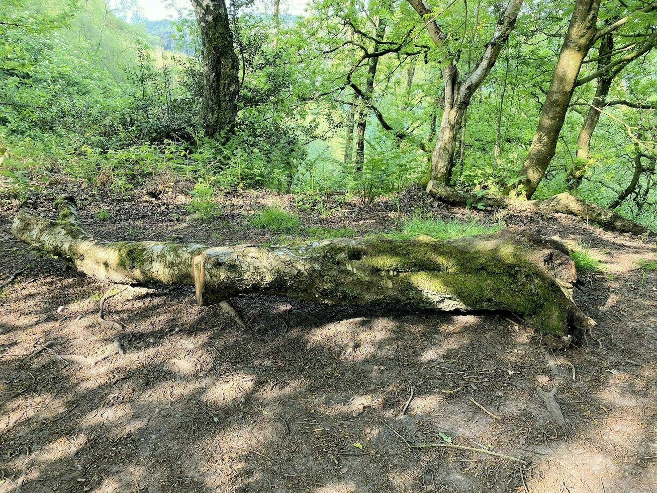 A view of the Cheshire Countryside at Peckforton Hills photo