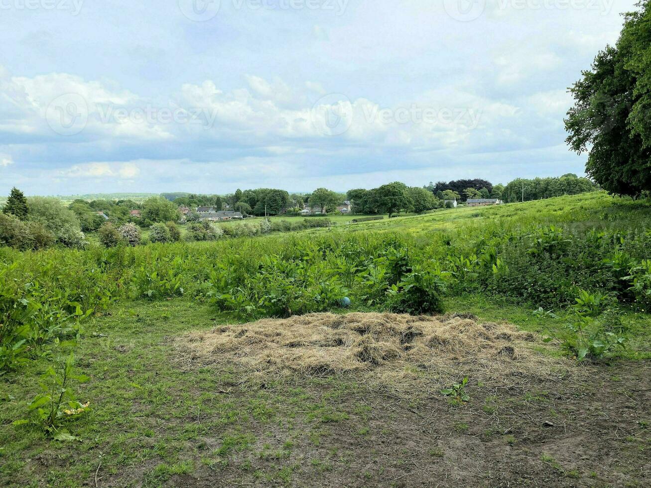 A view of the Cheshire Countryside at Peckforton Hills photo