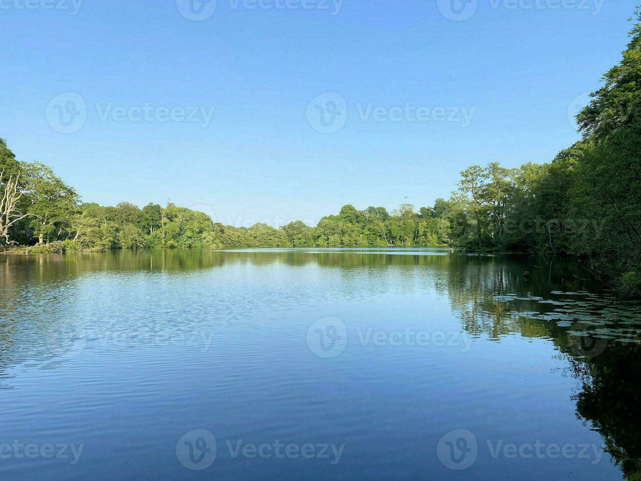 un ver de blake mero lago cerca ellesmere en Shropshire foto