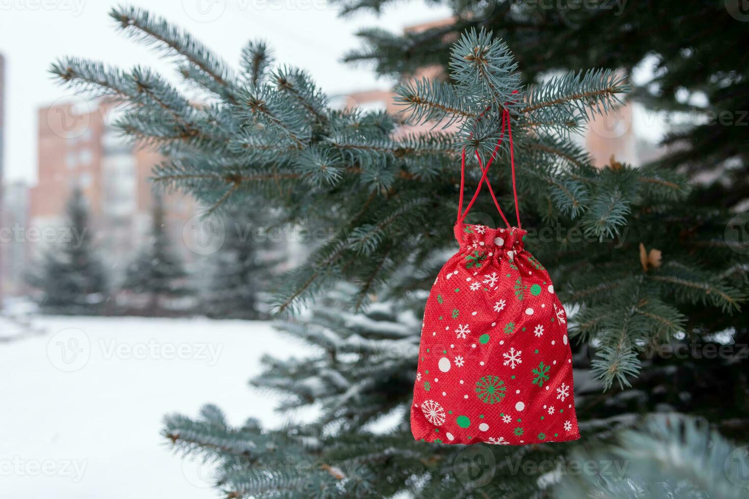 red Christmas gift is hanging on pine tree outdoors. photo