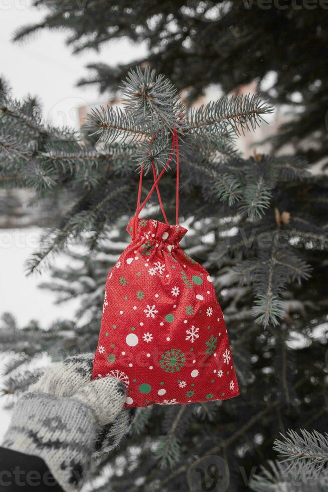 red Christmas gift is hanging on pine tree outdoors. photo