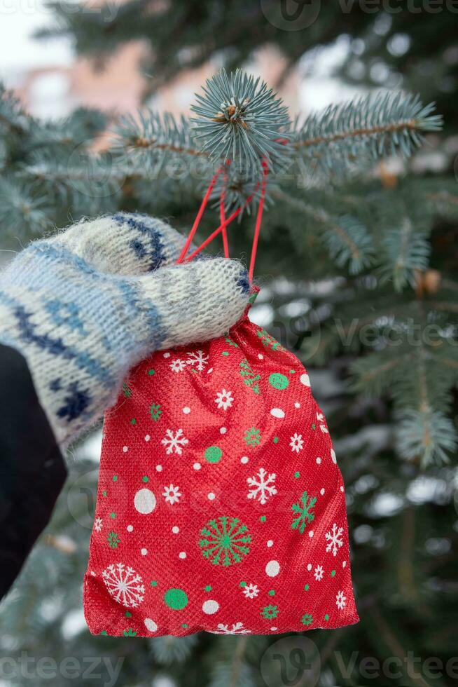 red Christmas gift is hanging on pine tree outdoors. photo