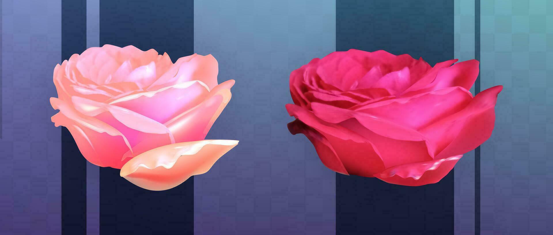 Realistic pink roses on blue vintage background. Vector illustration EPS10