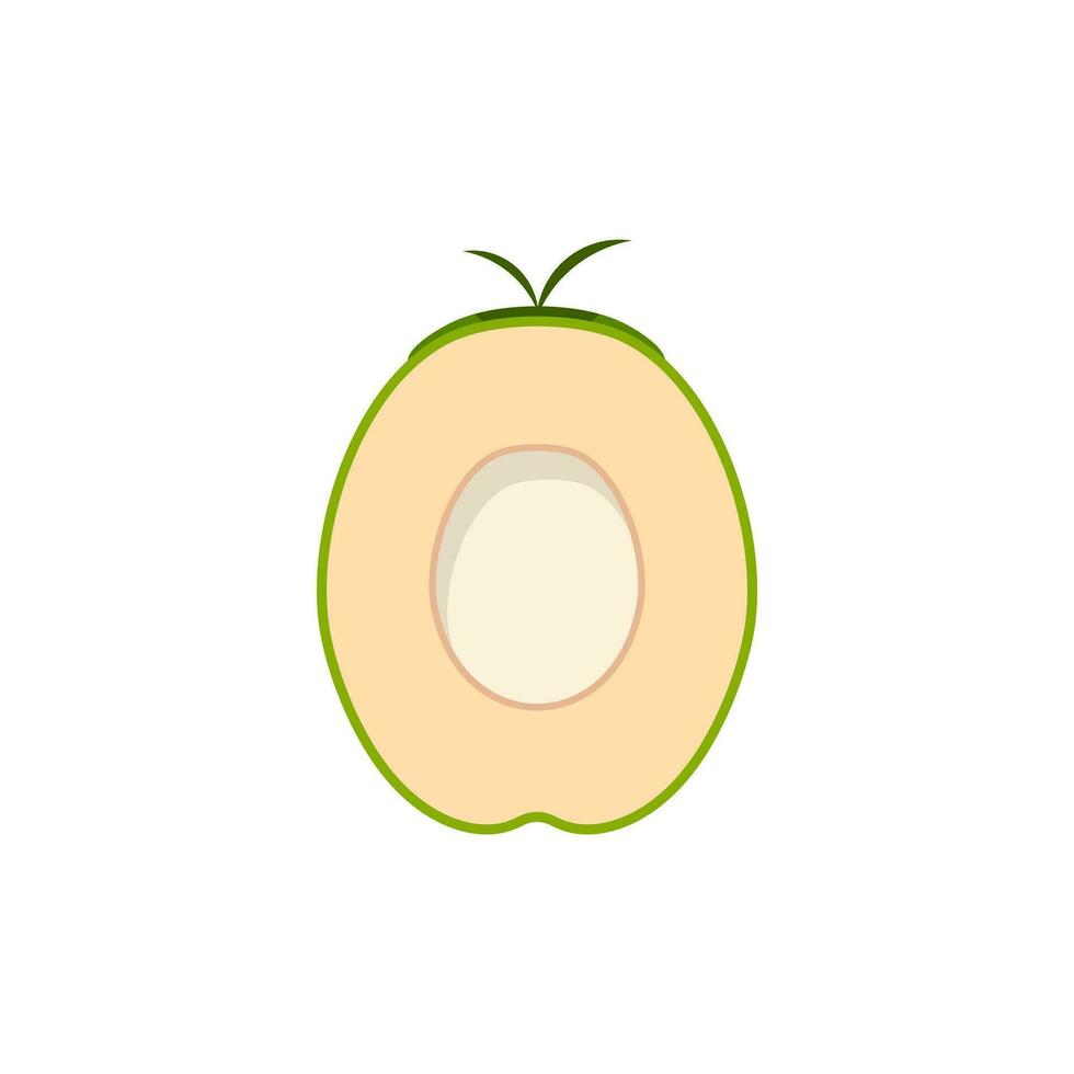 Natural Young Coconut flat design vector illustration. fresh coconut logo suitable for summer, vector design and isolated on white backgrounds.
