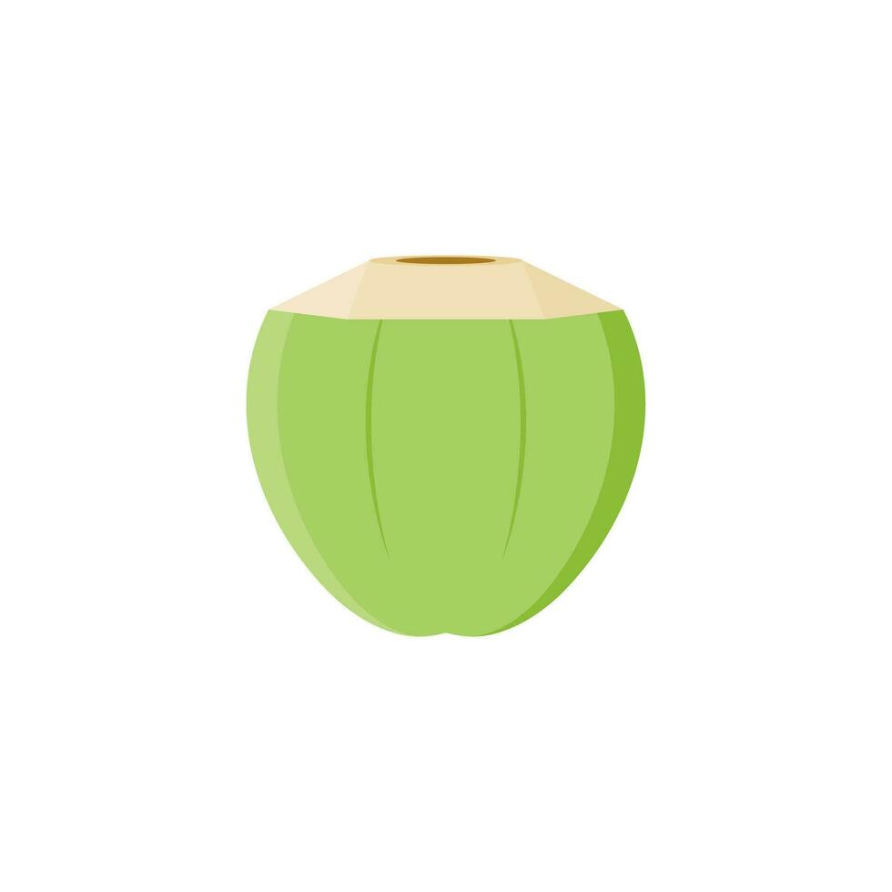 Natural Young Coconut flat design vector illustration. fresh coconut logo suitable for summer, vector design and isolated on white backgrounds.