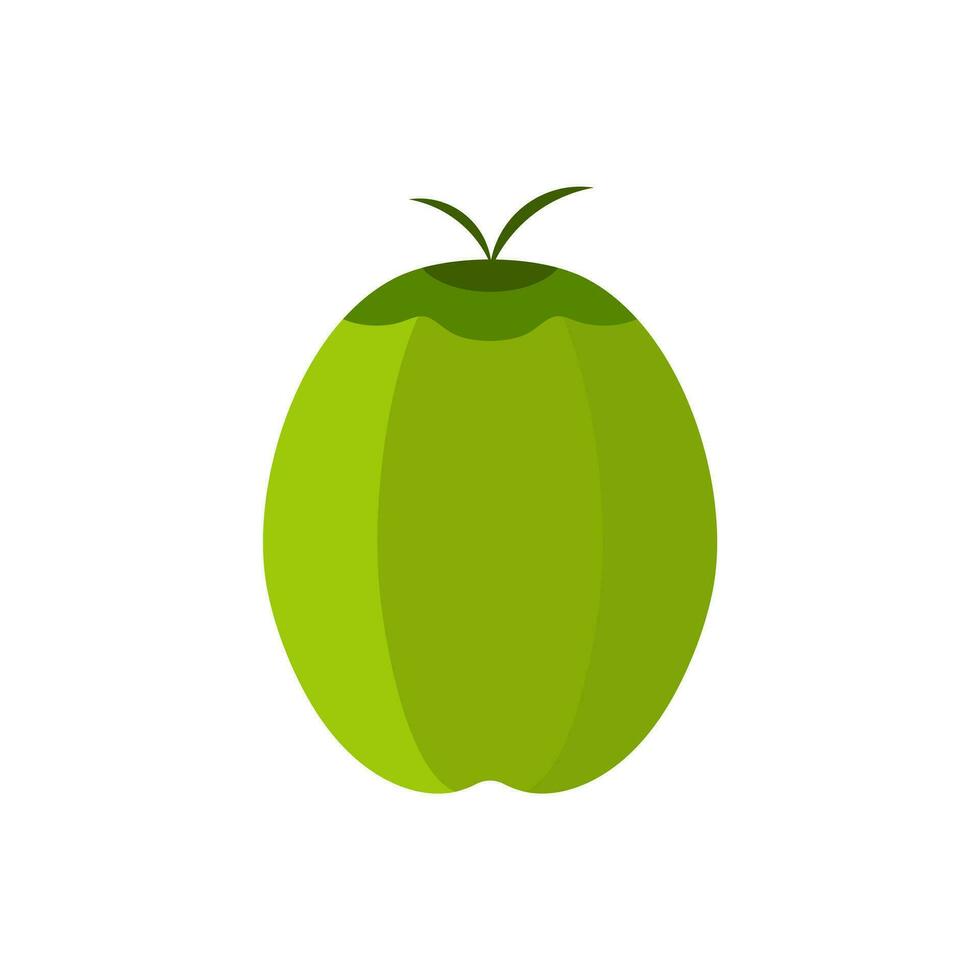 Natural Young Coconut flat design vector illustration. fresh coconut logo suitable for summer, vector design and isolated on white backgrounds.