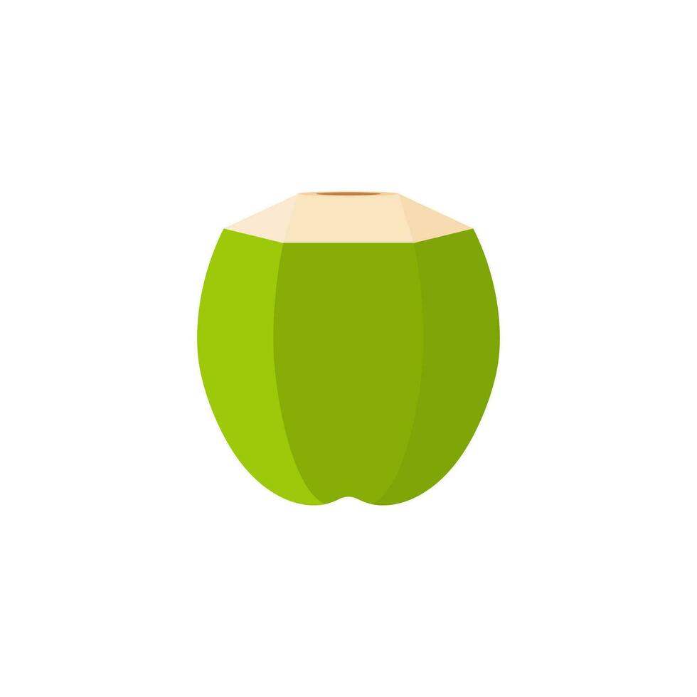 Natural Young Coconut flat design vector illustration. fresh coconut logo suitable for summer, vector design and isolated on white backgrounds.