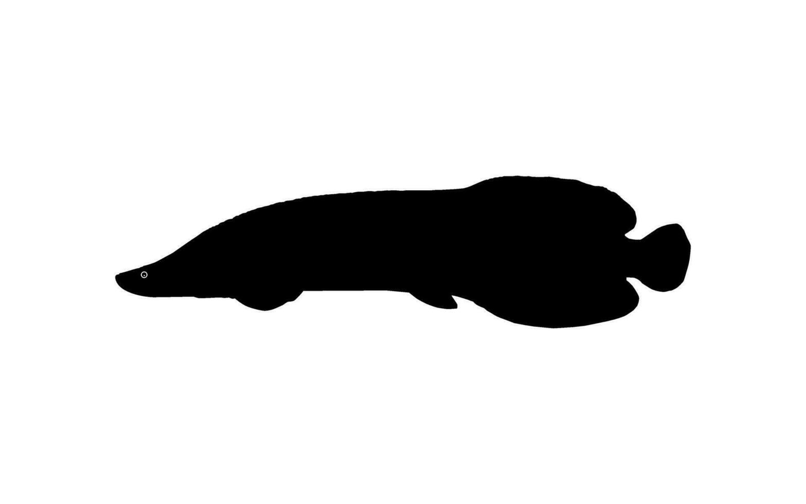 Silhouette of the Fish Arapaima, or pirarucu, or paiche, for Icon, Symbol, Pictogram, Art Illustration, Logo Type, Website or Graphic Design Element. Vector Illustration