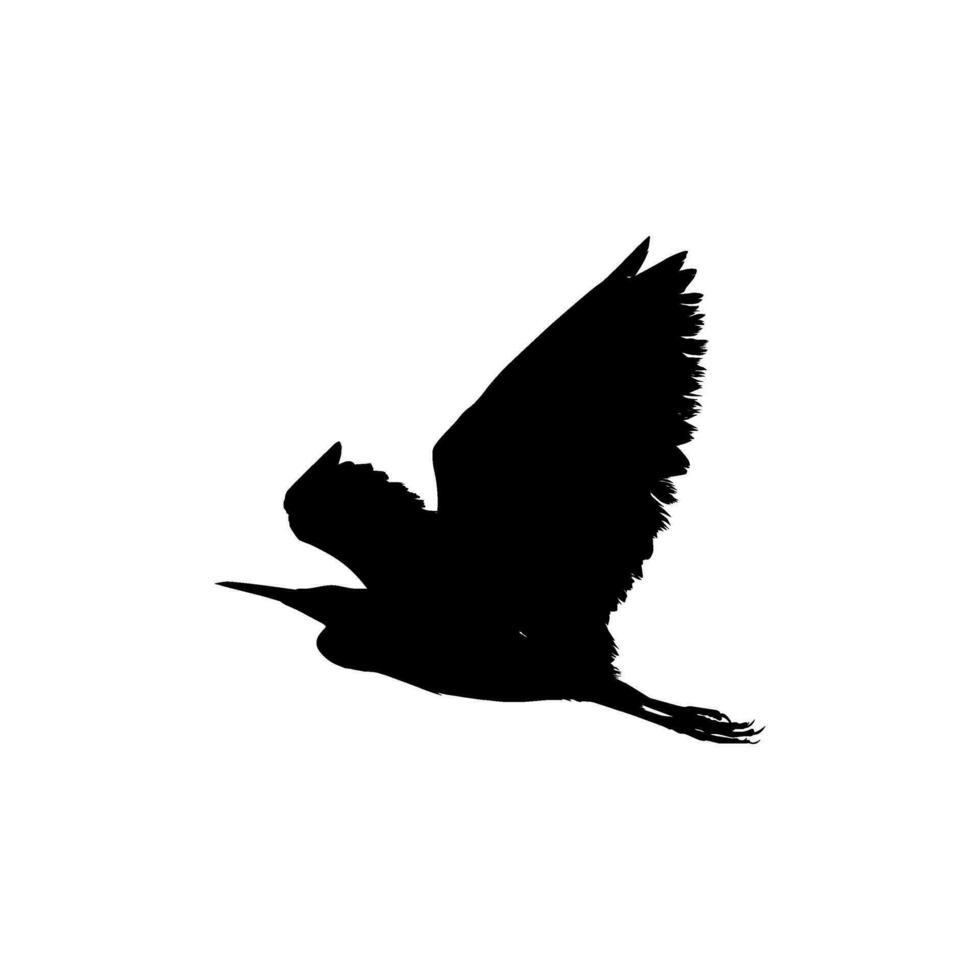 The Black Heron Bird, Egretta Ardesiaca, also known as the Black Egret Silhouette for Art Illustration, Logo, Pictogram, Website, or Graphic Design Element. Vector Illustration