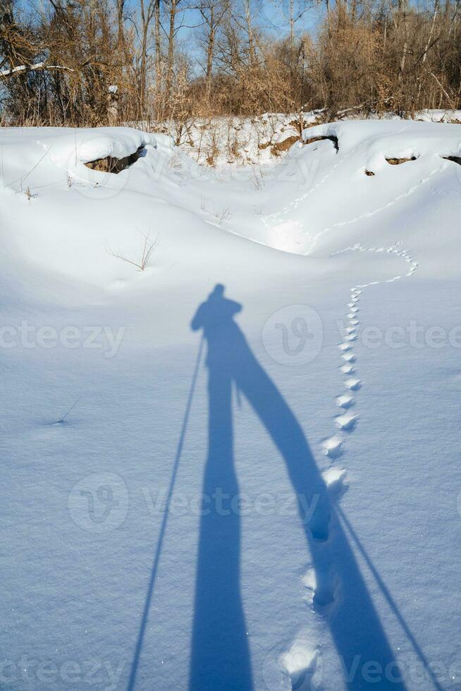 The shadow of a man in the snow. The forest traveler stands on a white background, nature around people. Silhouette in the rays of the sun. photo