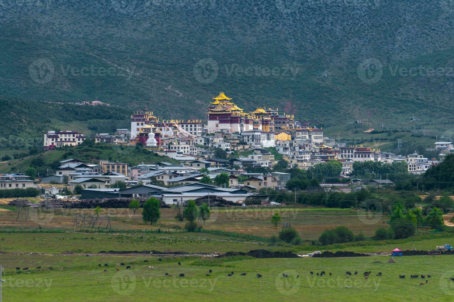 canciónzanlin monasterio es el mas grande tibetano budista monasterio en yunnan provincia en Shangri-la, yunnan, porcelana. foto