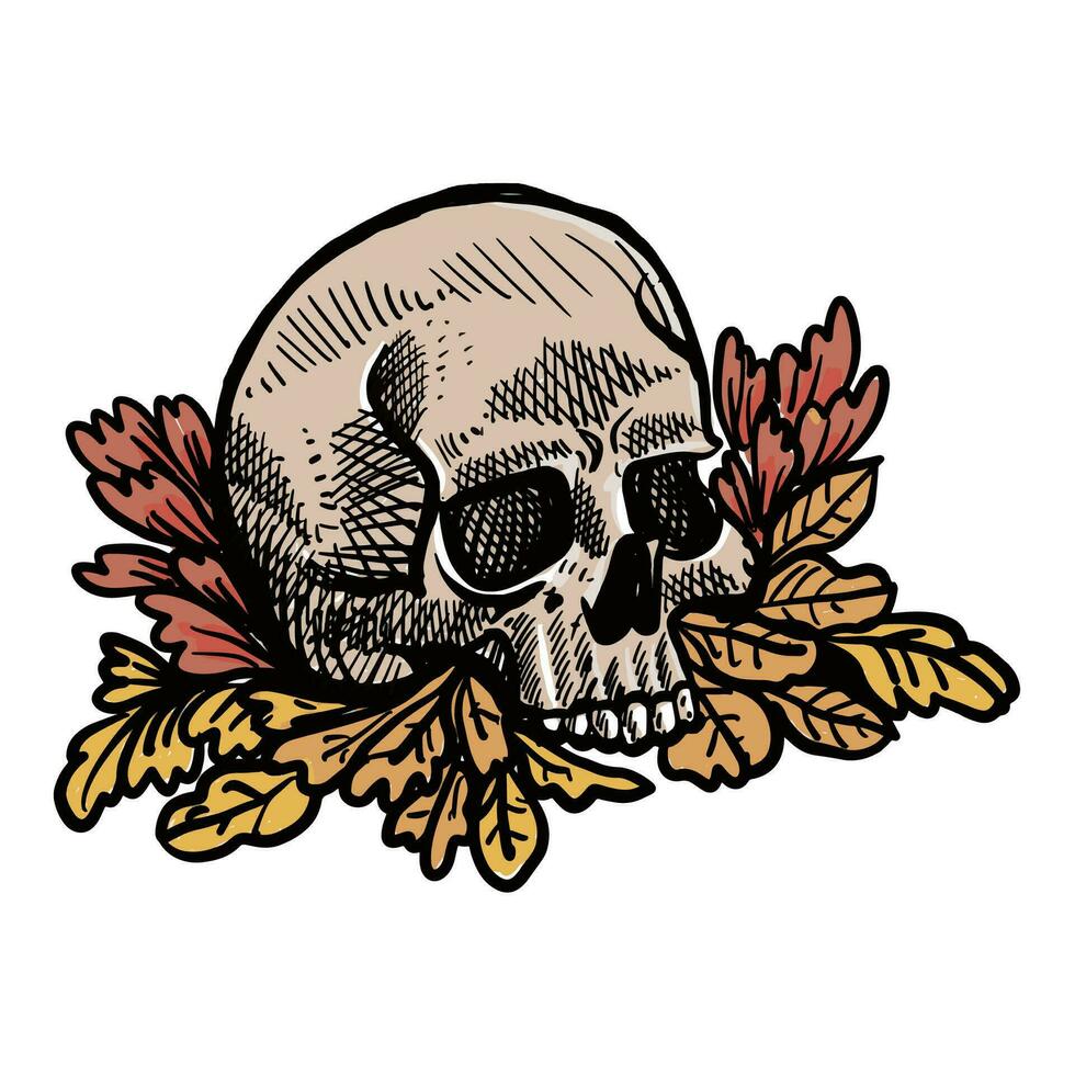 hand drawn illustration skull and leaves vector