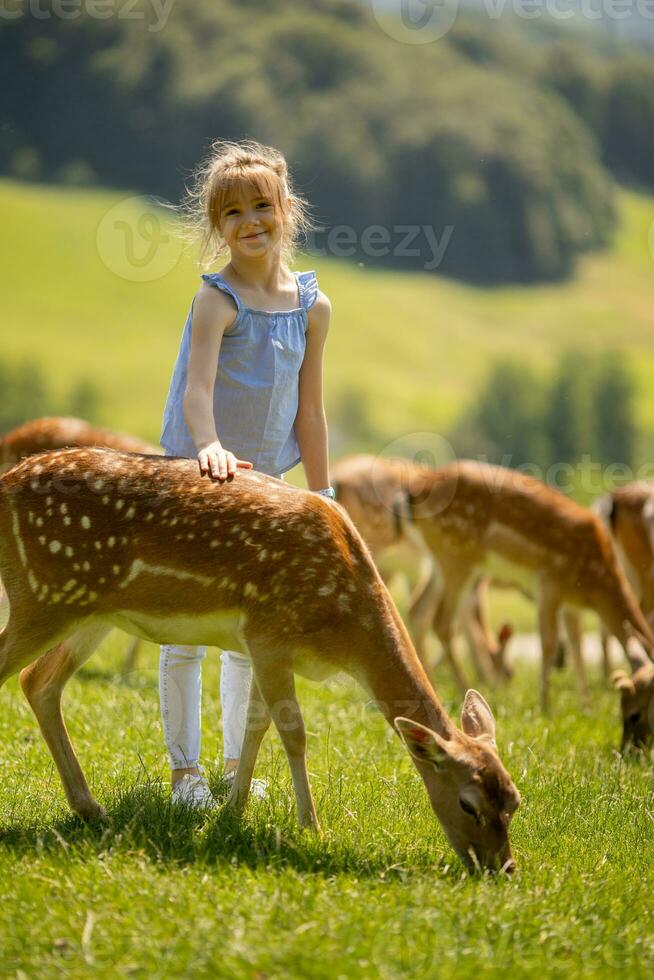 pequeño niña entre reno manada en el soleado día foto