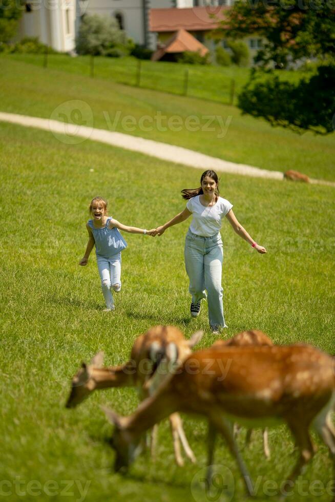 Little girls running among reindeer herd on the sunny day photo