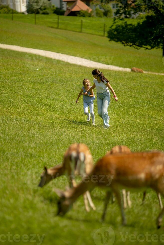 Little girls running among reindeer herd on the sunny day photo