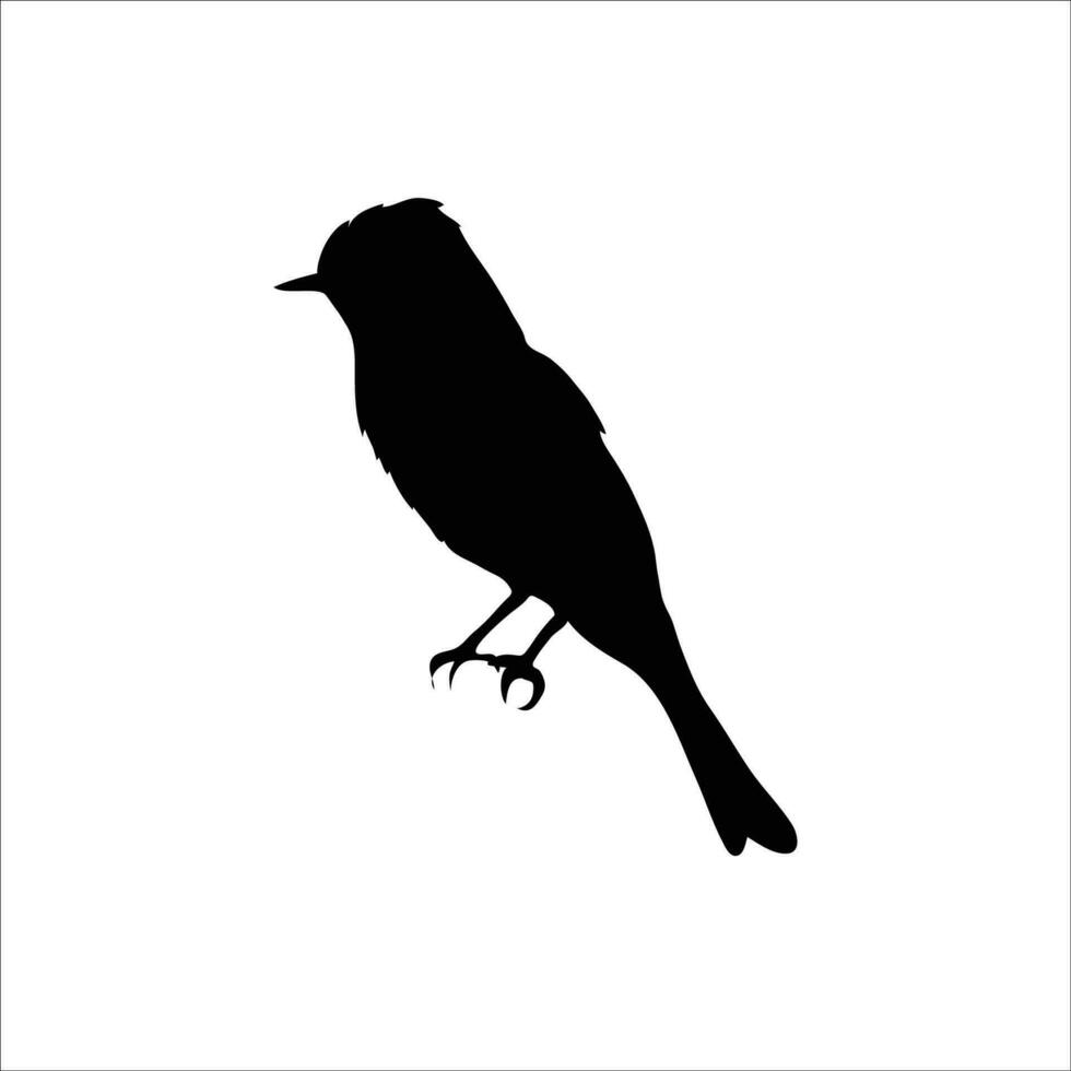 Bird silhouette vector