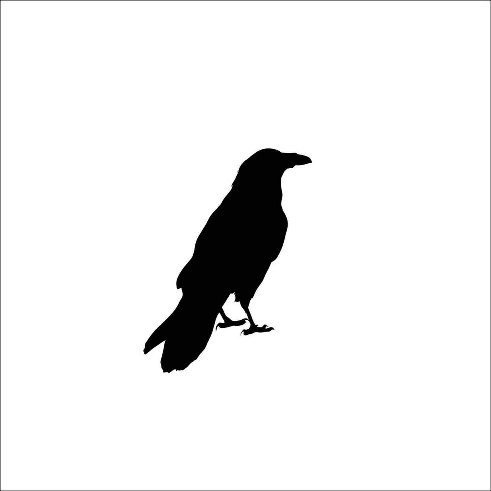 Bird silhouette vector