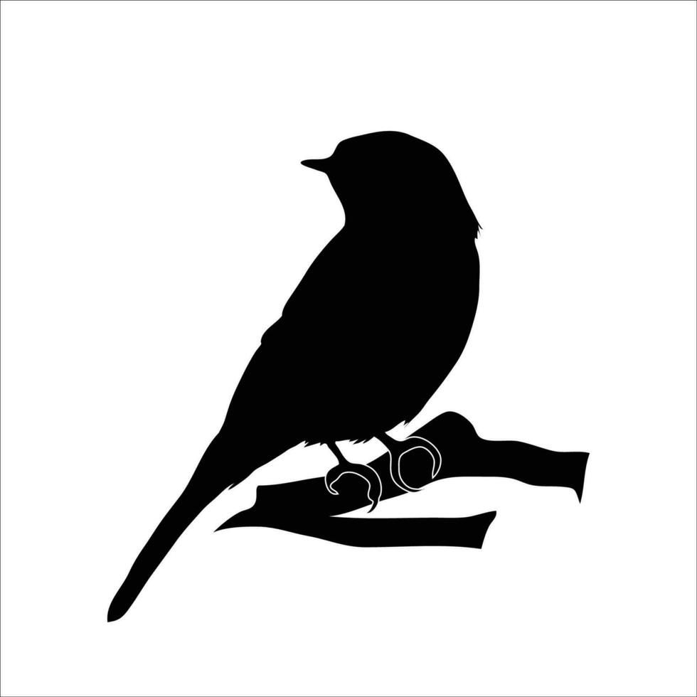Bird silhouette vector