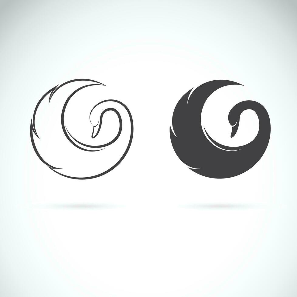 Vector of swan design on a white background. Wildlife Animals.