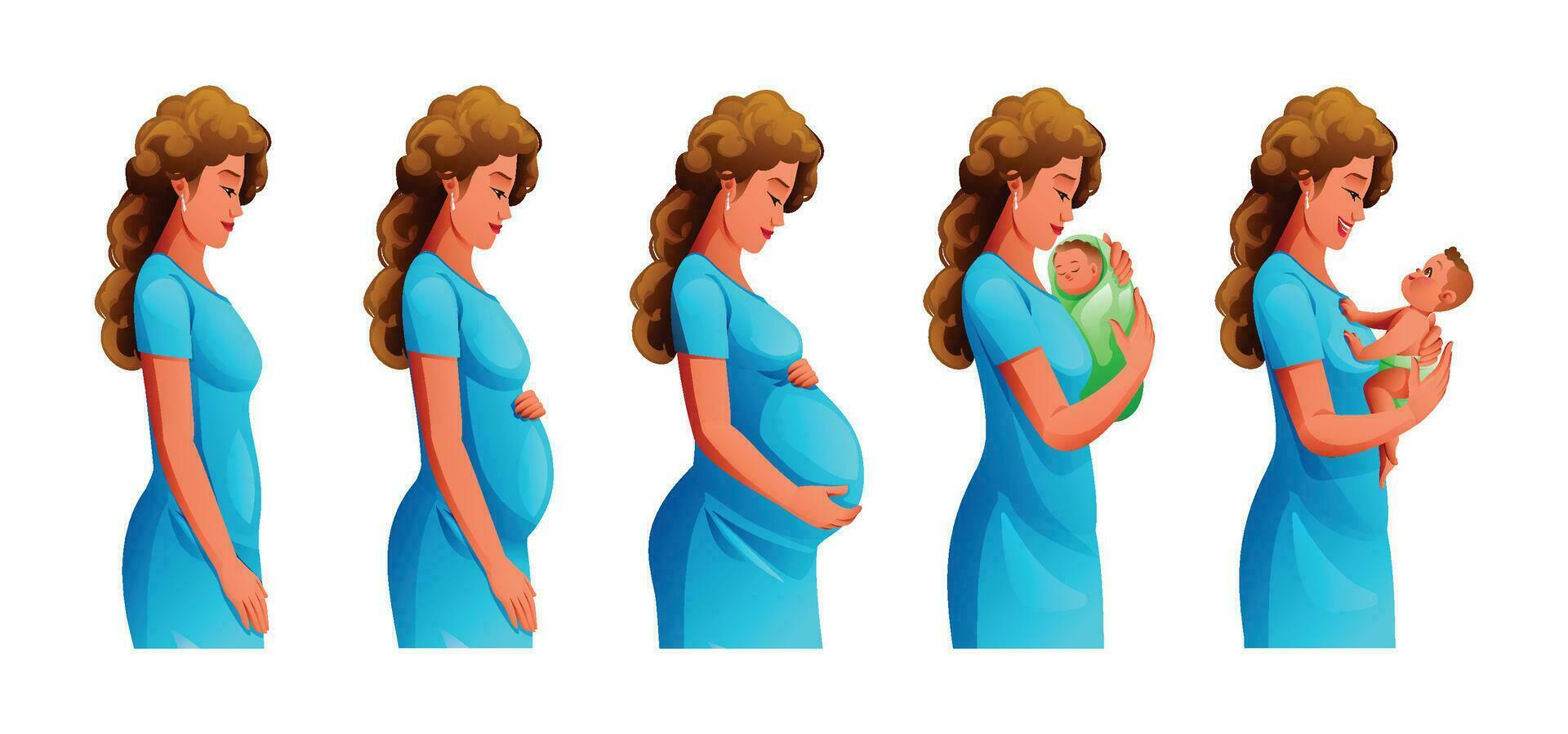 Pregnancy stages. Changes in female body during pregnancy. Pregnant woman and newborn baby. Vector cartoon illustration