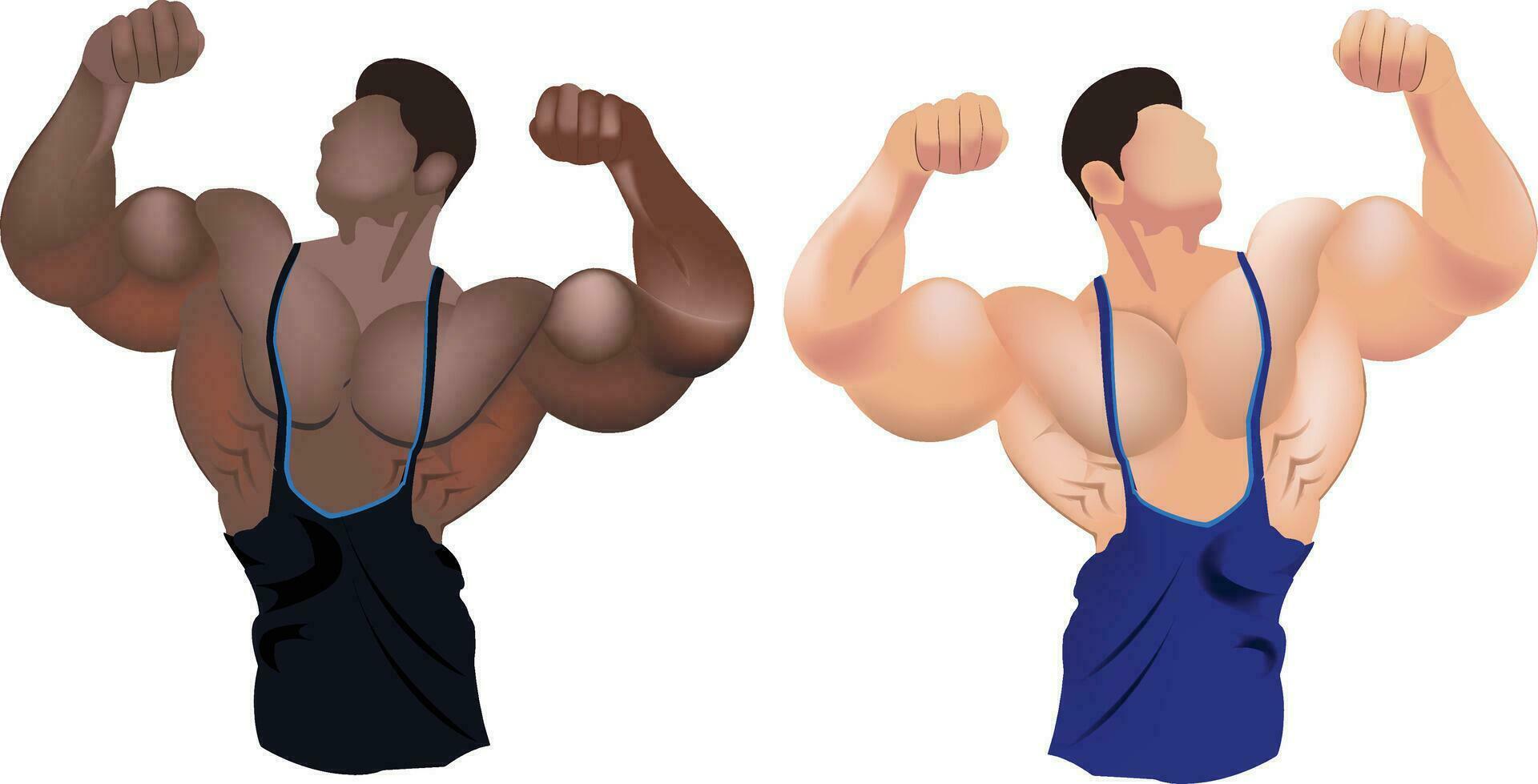 people in bodybuilding position Bodybuilding- vector