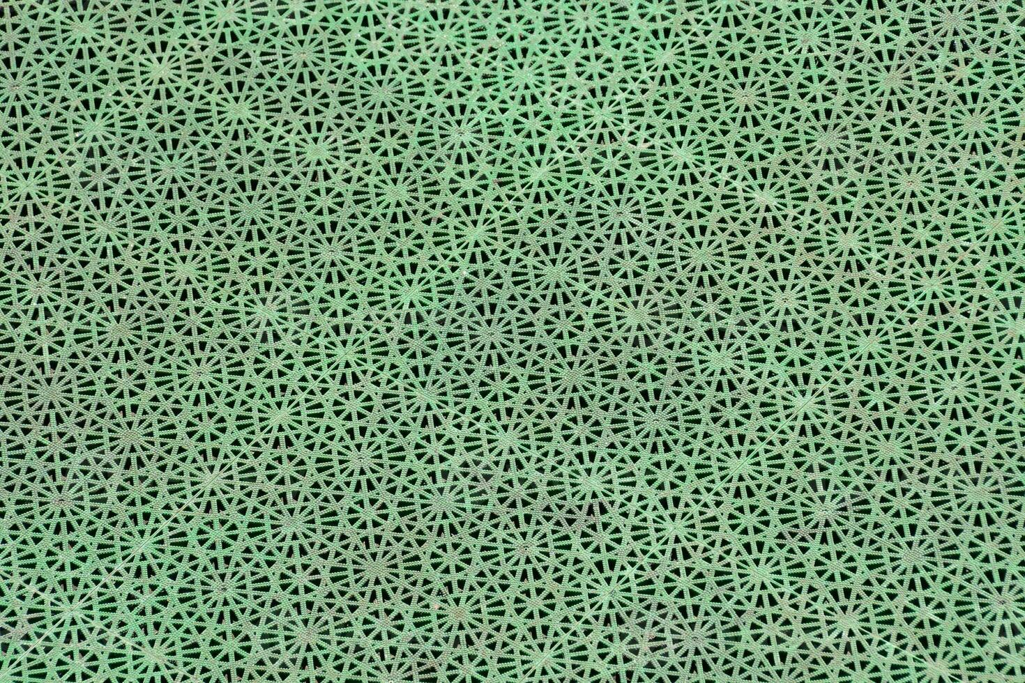 a green metal grate with holes in it photo