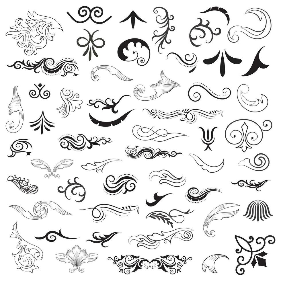 Vector graphic elements for design vector elements. Swirl elements decorative illustration. Classic calligraphy swirls, greeting cards, wedding invitations, royal certificates and graphic design.