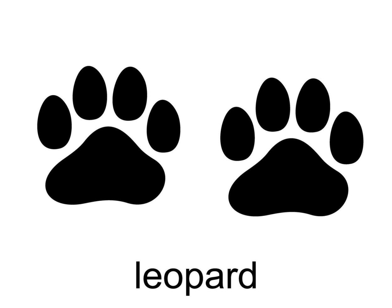 leopardo huella. leopardo pista. negro silueta diseño vector