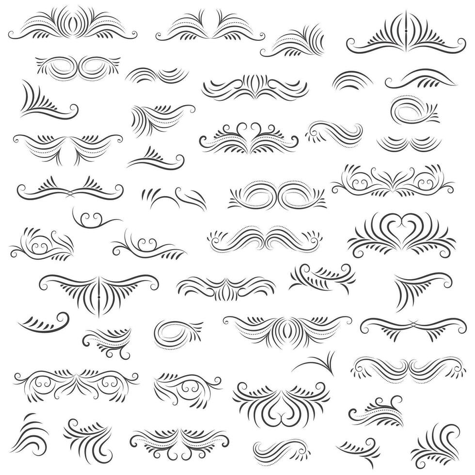 Vector graphic elements for design vector elements. Swirl elements decorative illustration. Classic calligraphy swirls, greeting cards, wedding invitations, royal certificates and graphic design.