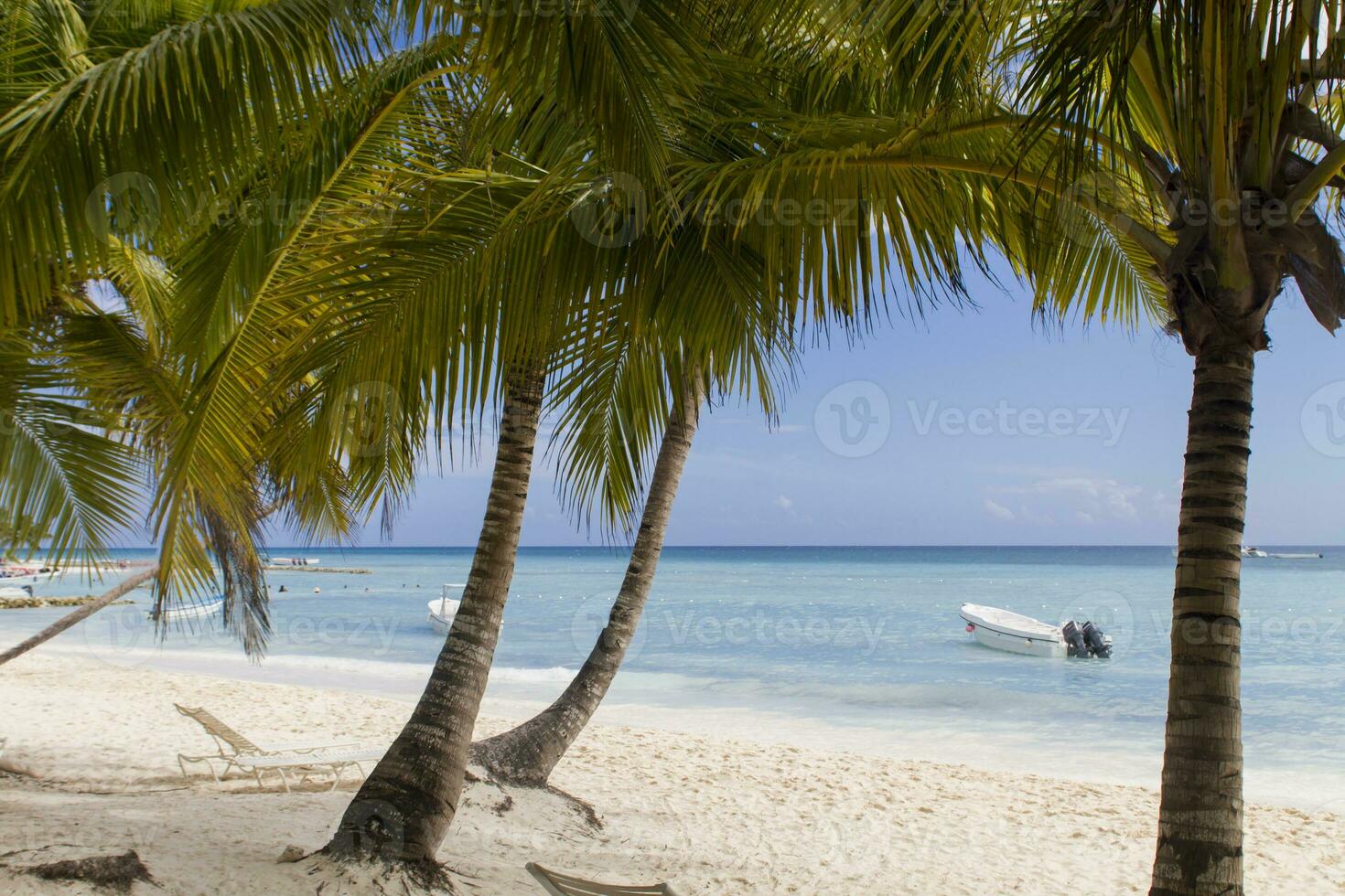 tropical playa detalle foto