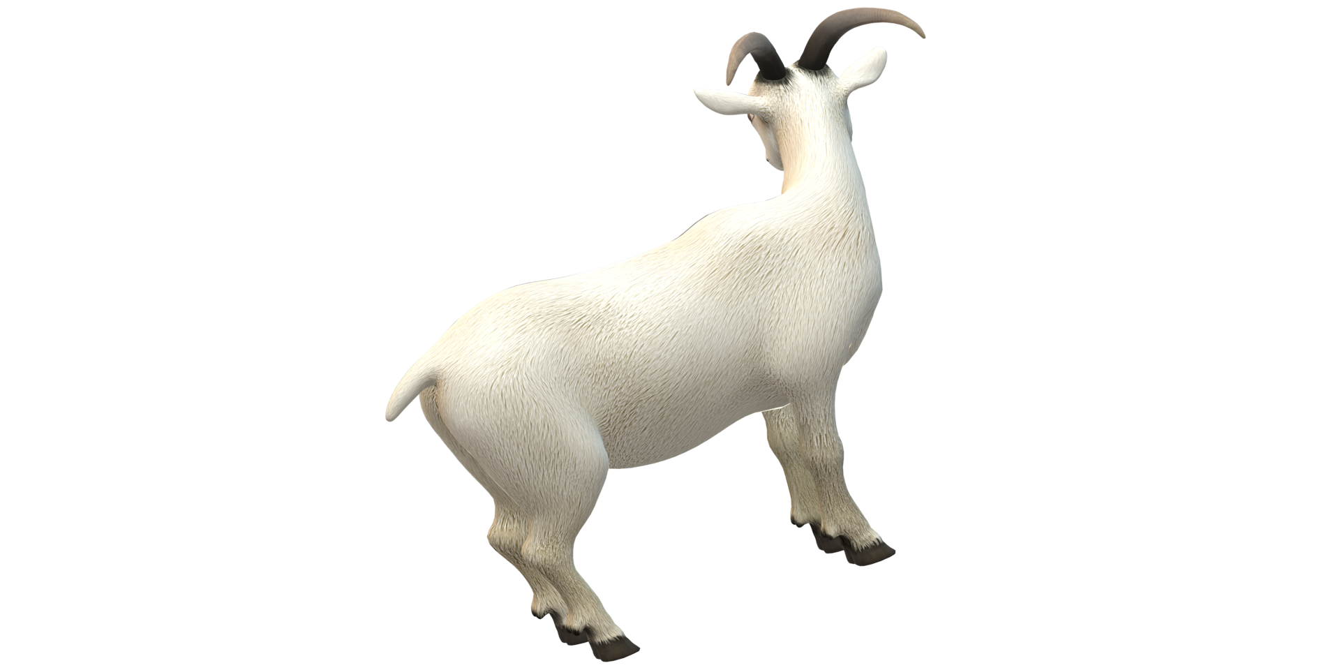 Goat isolated on a Transparent Background png