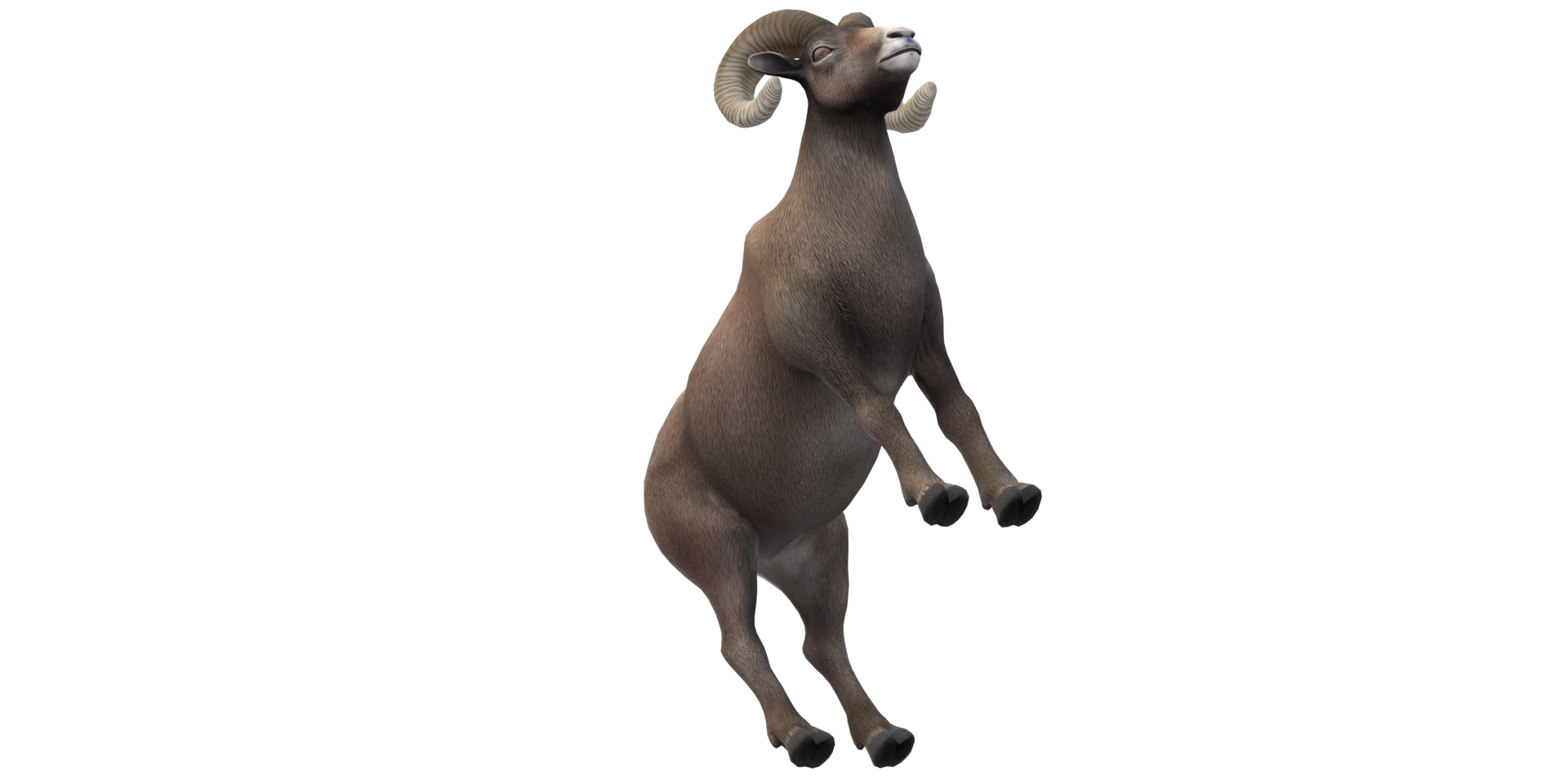 Ram isolated on a Transparent Background png