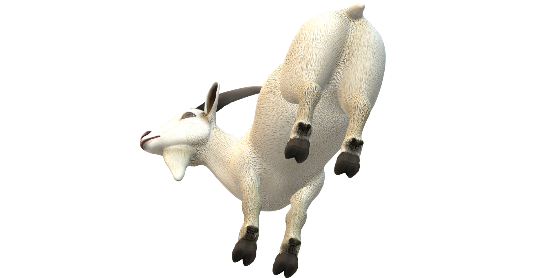 Goat isolated on a Transparent Background png