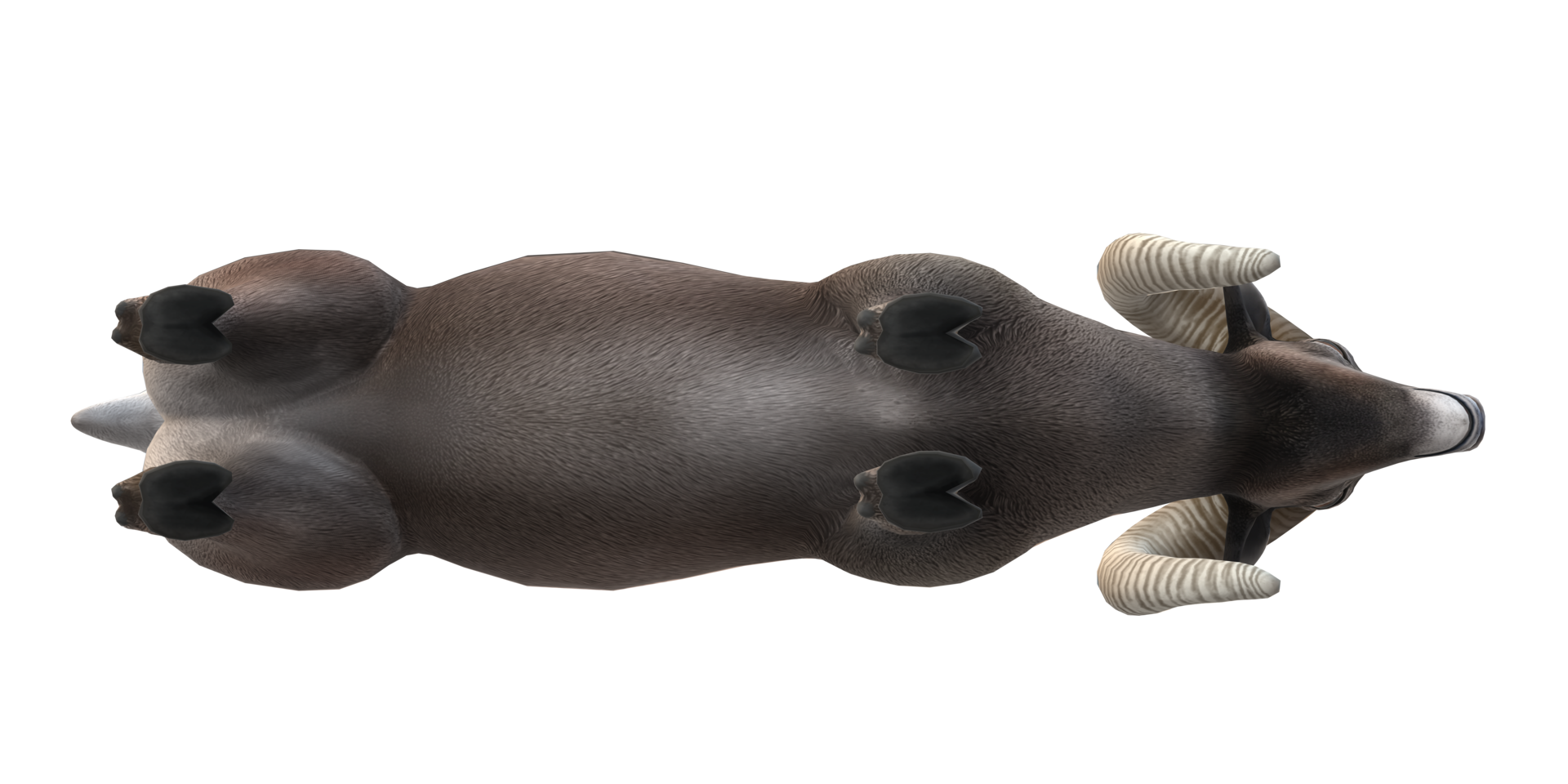 Ram isolated on a Transparent Background png