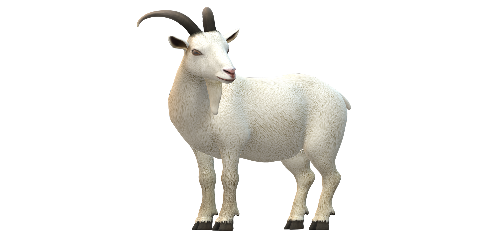 Goat isolated on a Transparent Background png